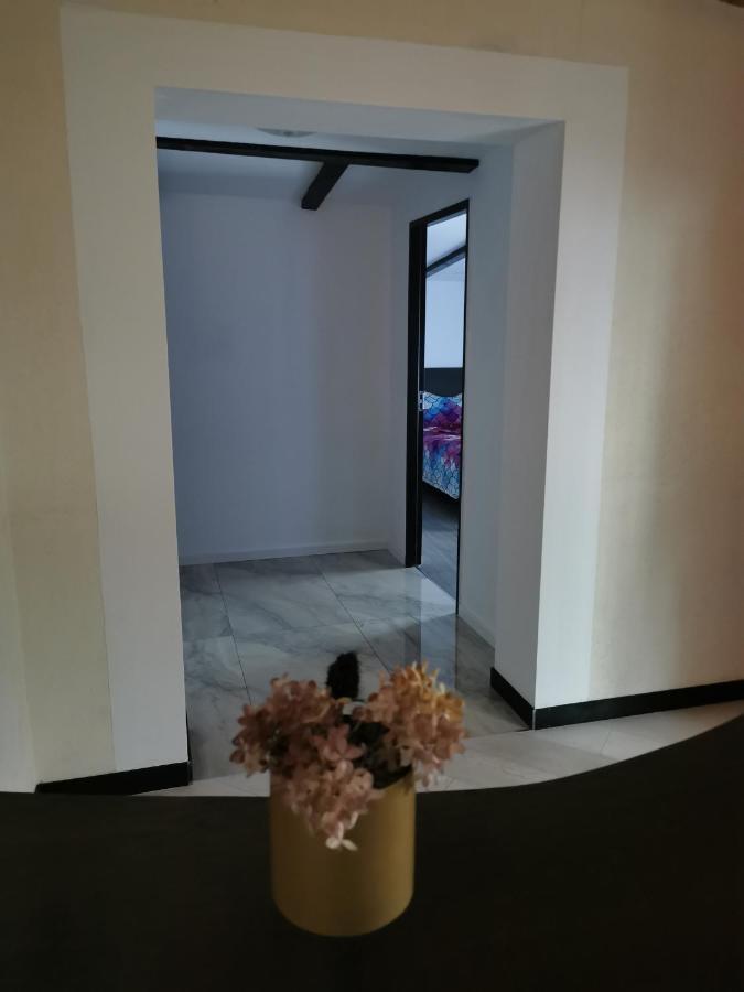 Vila Bijou Borşa Exterior foto
